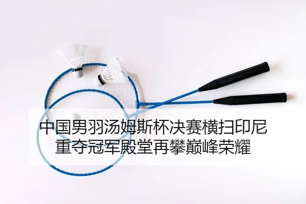 中国男羽汤姆斯杯决赛横扫印尼 重夺冠军殿堂再攀巅峰荣耀